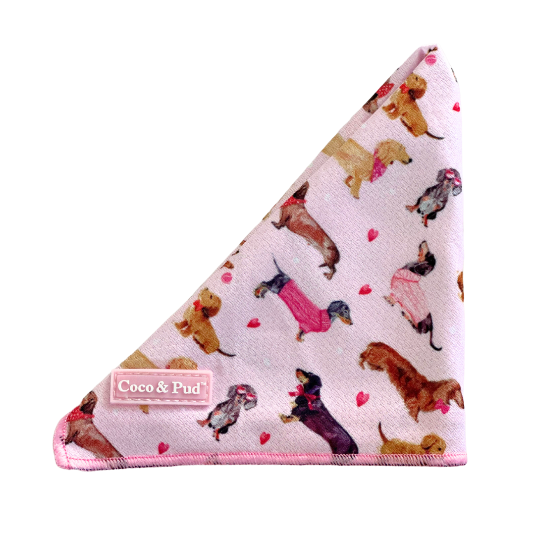 Coco & Pud Doxie Rose Dog Bandana  - Med/ Large