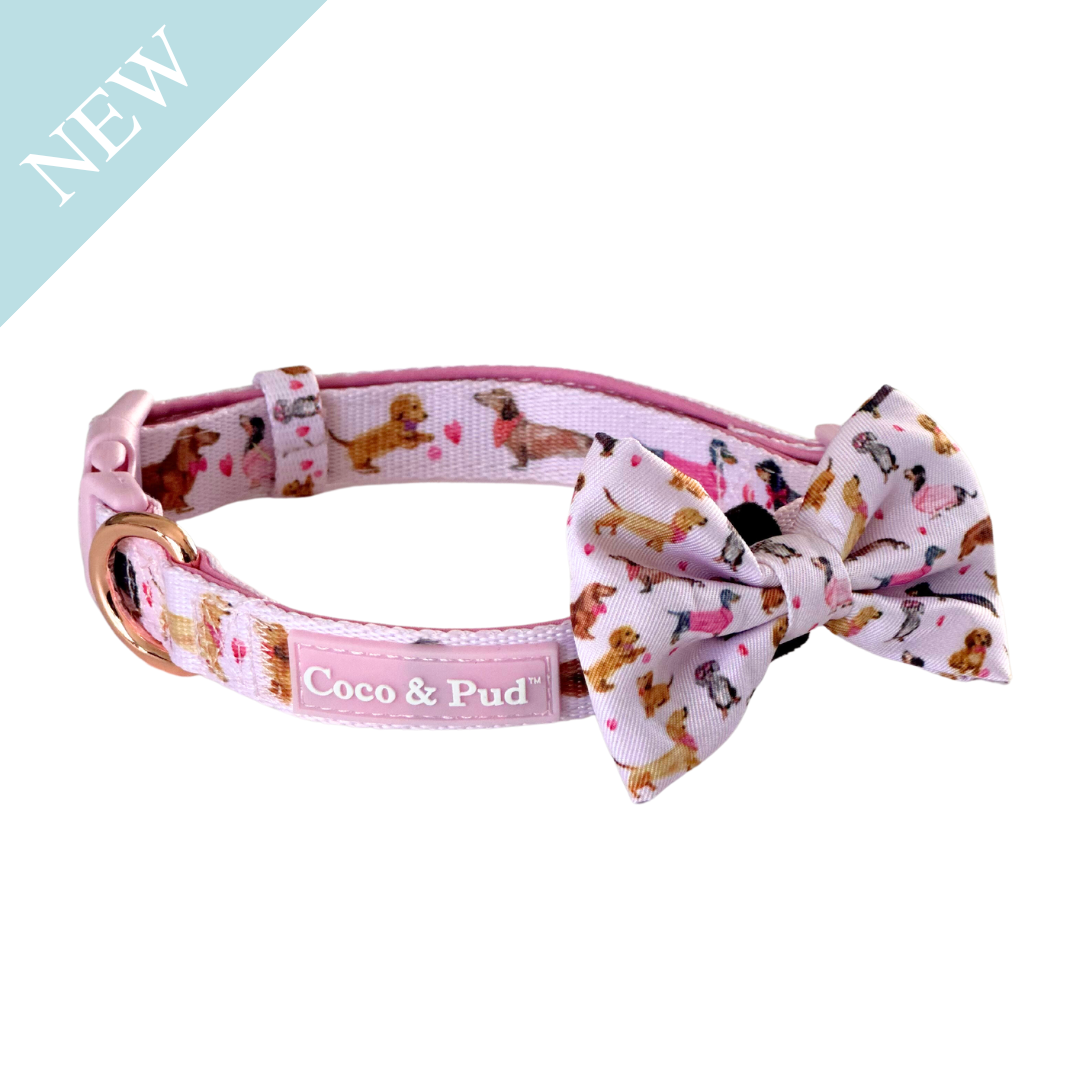 Coco & Pud Doxie Rose Dog Collar & matching Bow tie