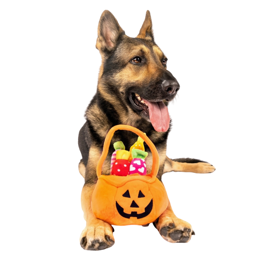 Coco and Pud Find A Toy Halloween Pumpkin Bucket Dog Toy