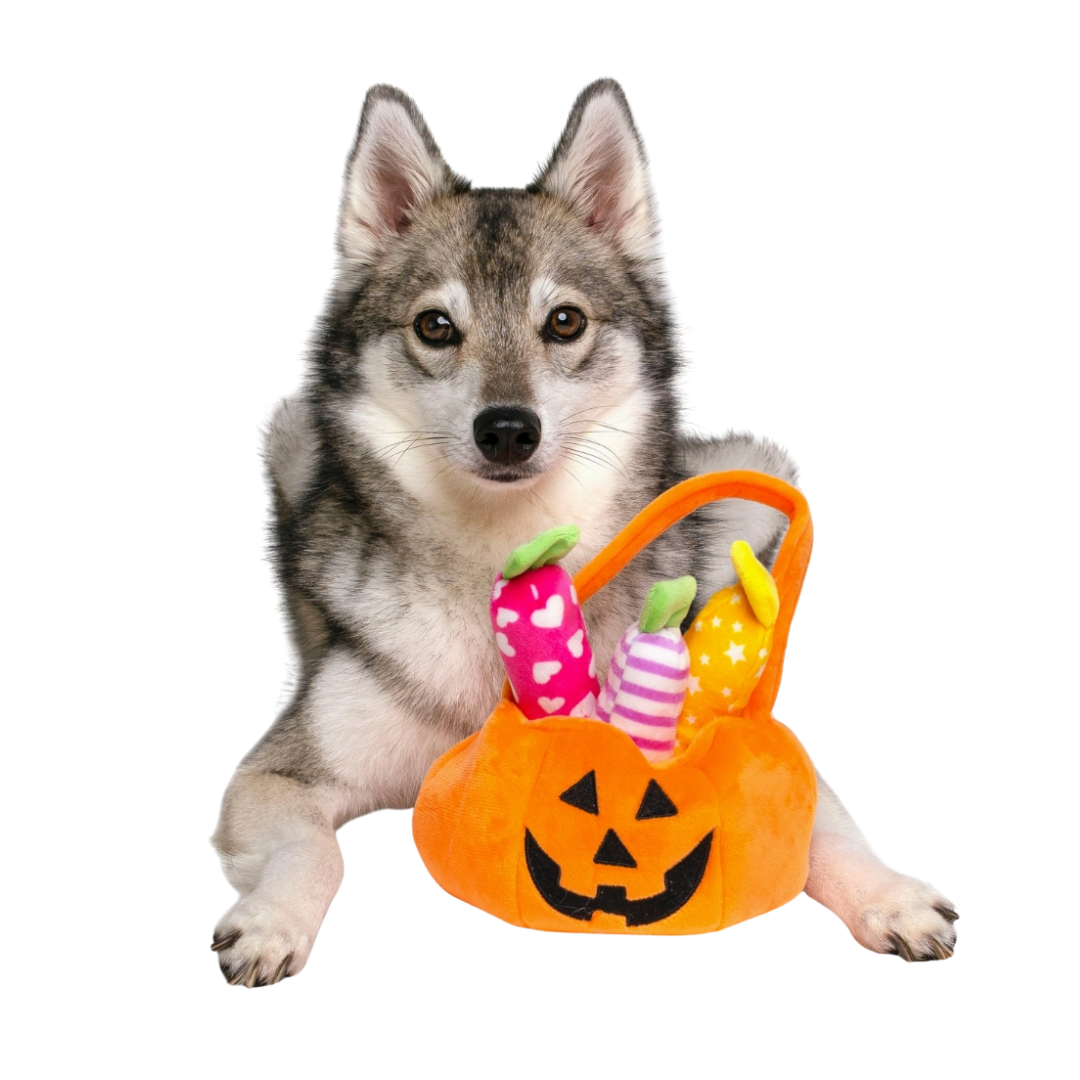 Coco and pud Find A Toy Halloween Pumpkin Bucket Dog Toy