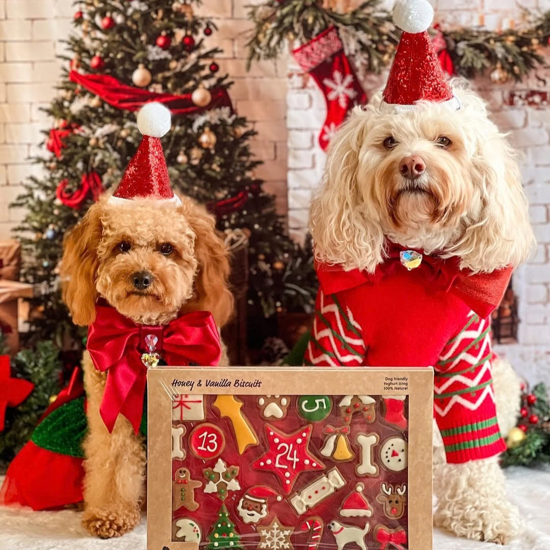 Golden Barkery Christmas Dog Treat Advent Calendar 2026