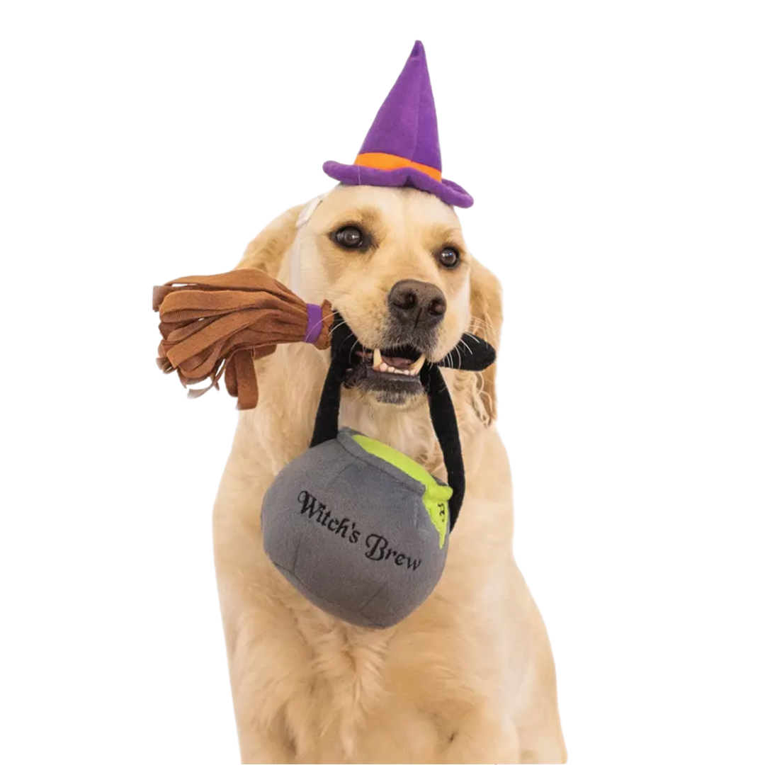 Halloween Dog Costume Kit – Witch