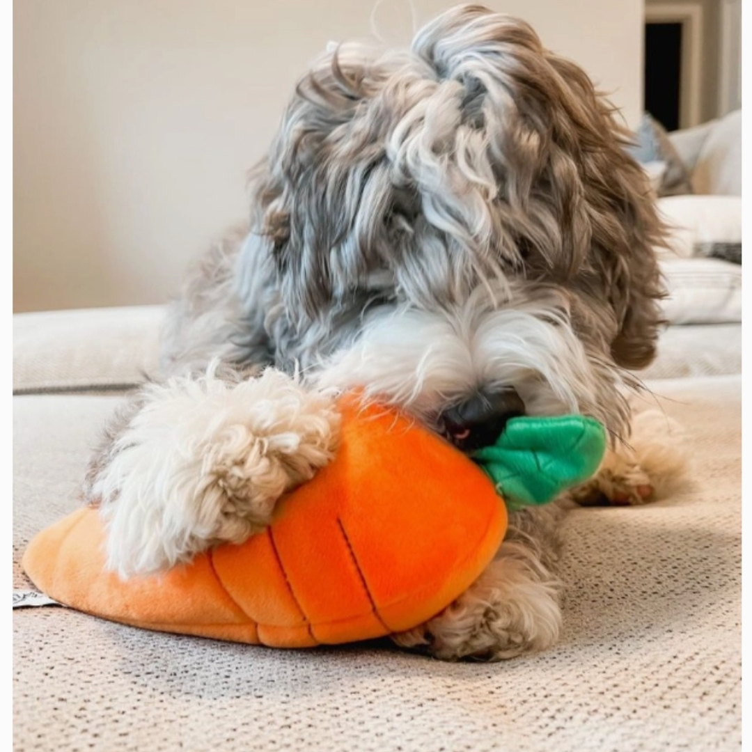 Coco & Pud Hide A Toy Carrot with Balls & Rabbit Easter Dog Toy