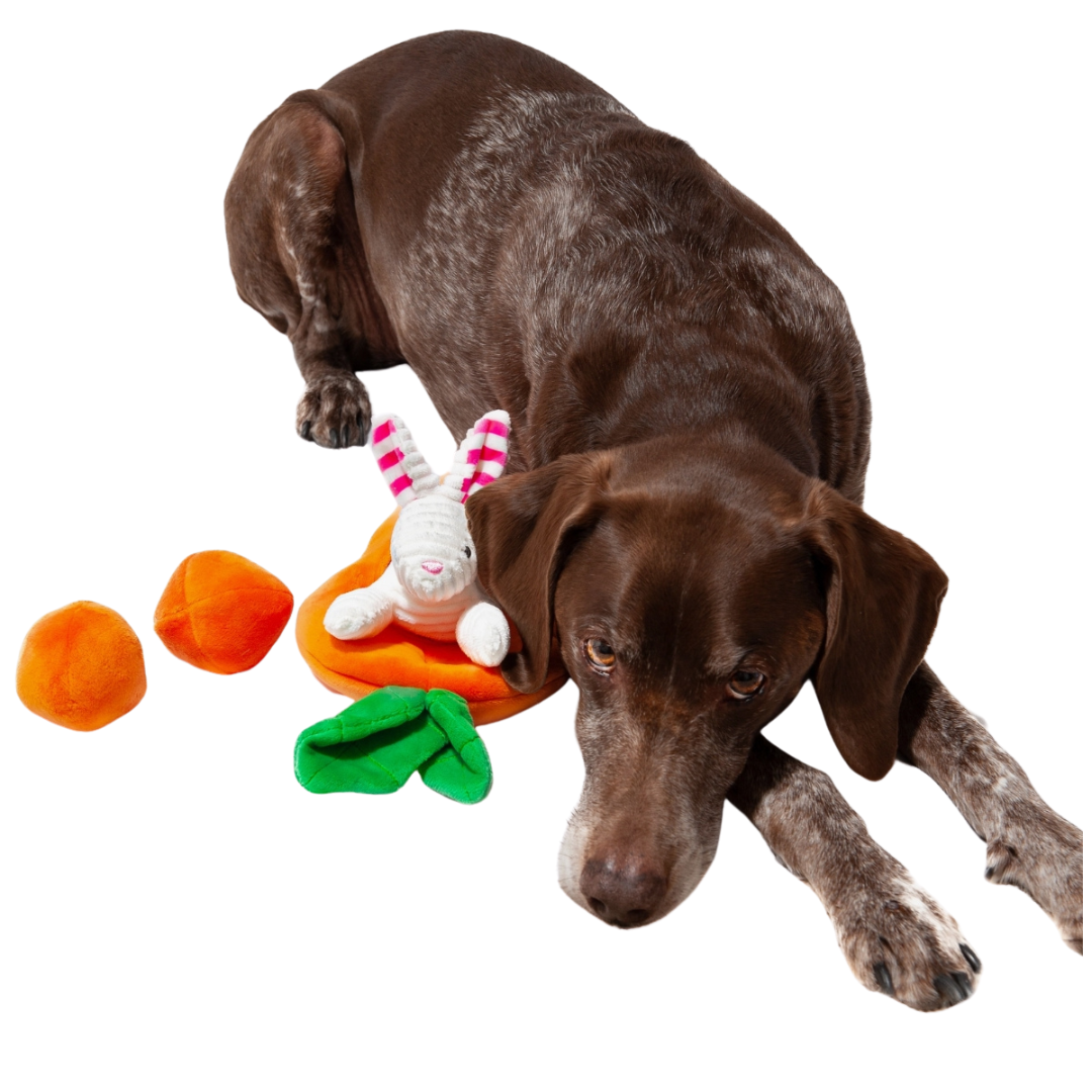 Coco & Pud Hide A Toy Carrot with Balls & Rabbit Easter Dog Toy