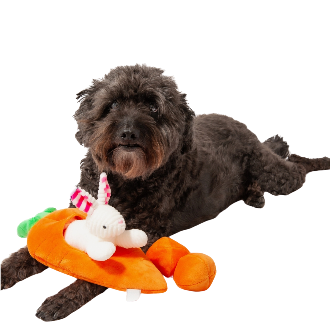 Coco & Pud Hide A Toy Carrot with Balls & Rabbit Easter Dog Toy