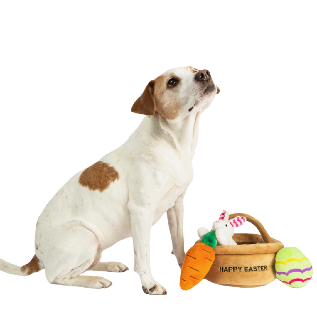 Coco & Pud Hide A Toy Easter Basket Dog Toy