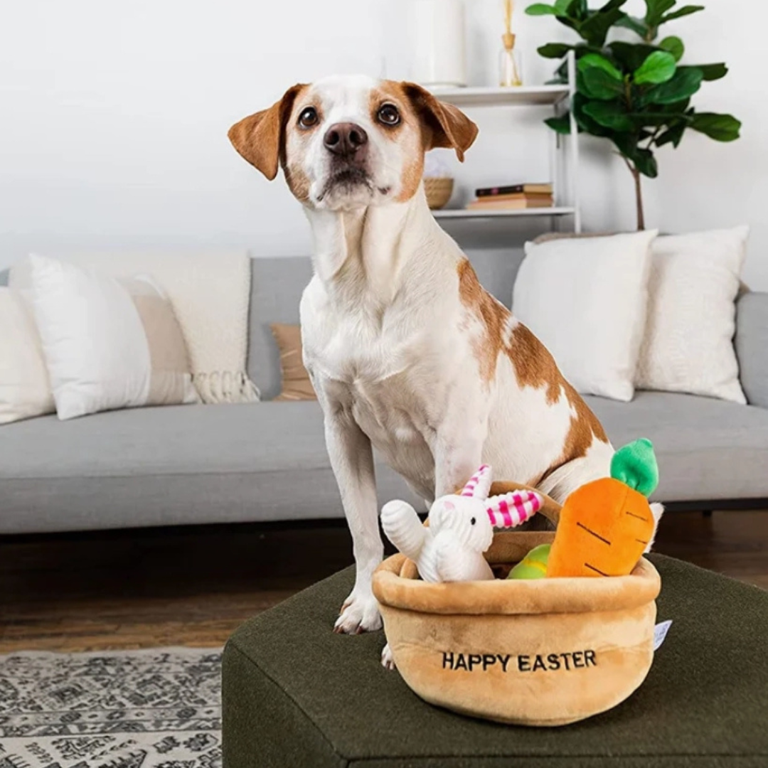 Coco & Pud Hide A Toy Easter Basket Dog Toy