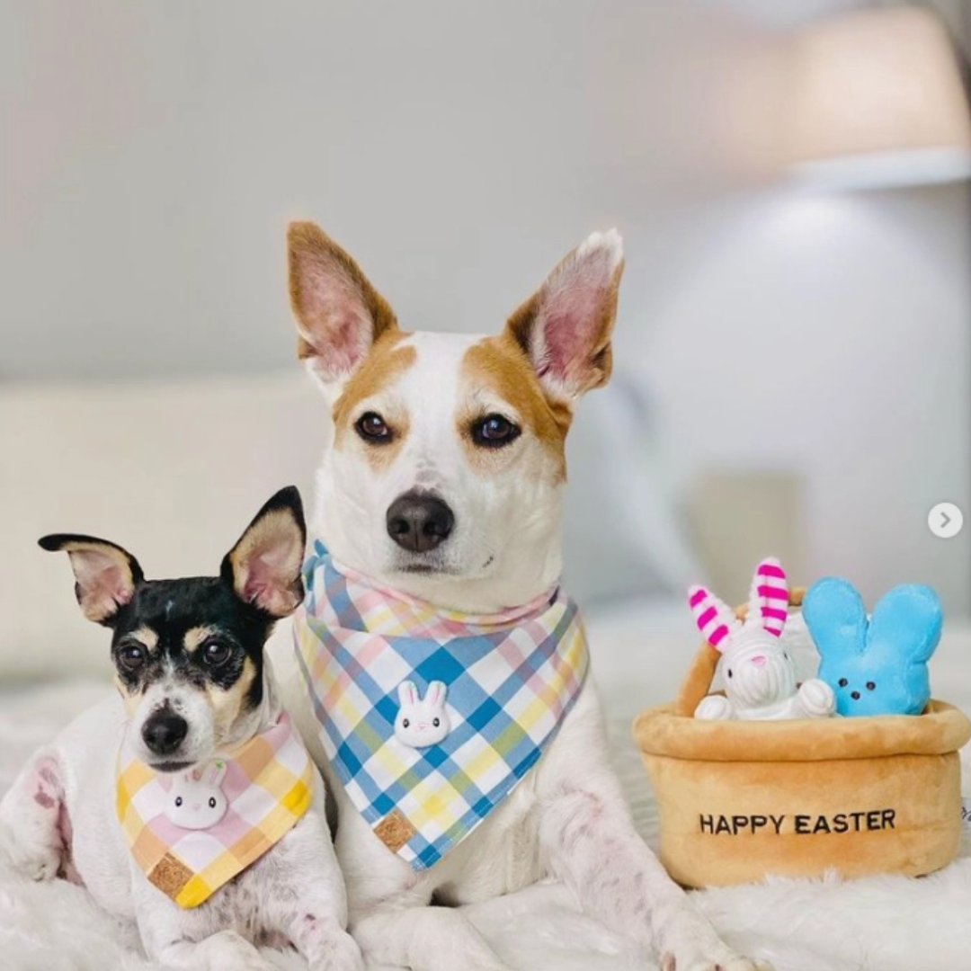Coco & Pud Hide A Toy Easter Basket Dog Toy