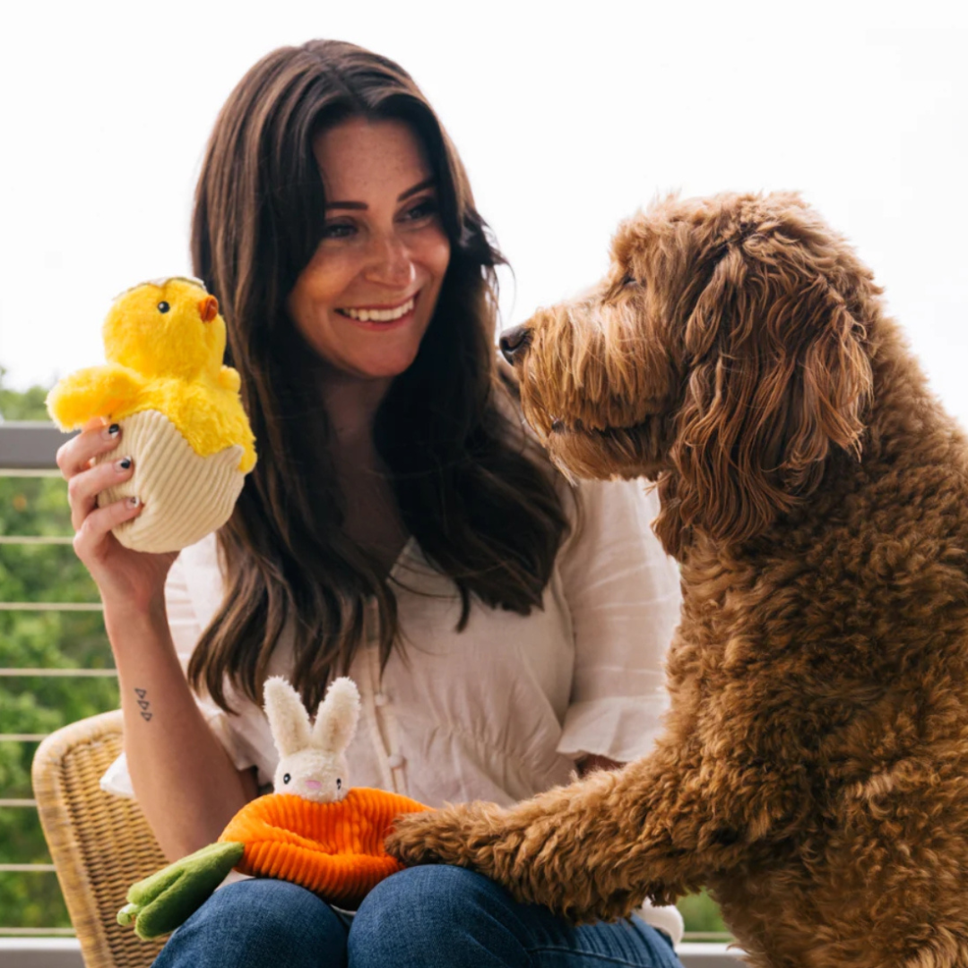P.L.A.Y Hippity Hoppity Chic Me Out Easter Dog Toy with woman and dog - Coco & Pud