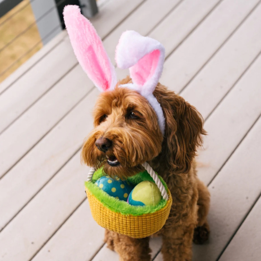 Coco & Pud Hippity Hoppity Eggs-cellent Basket Easter Dog Toy with cute Cavoodle dog- P.L.A.Y Toys