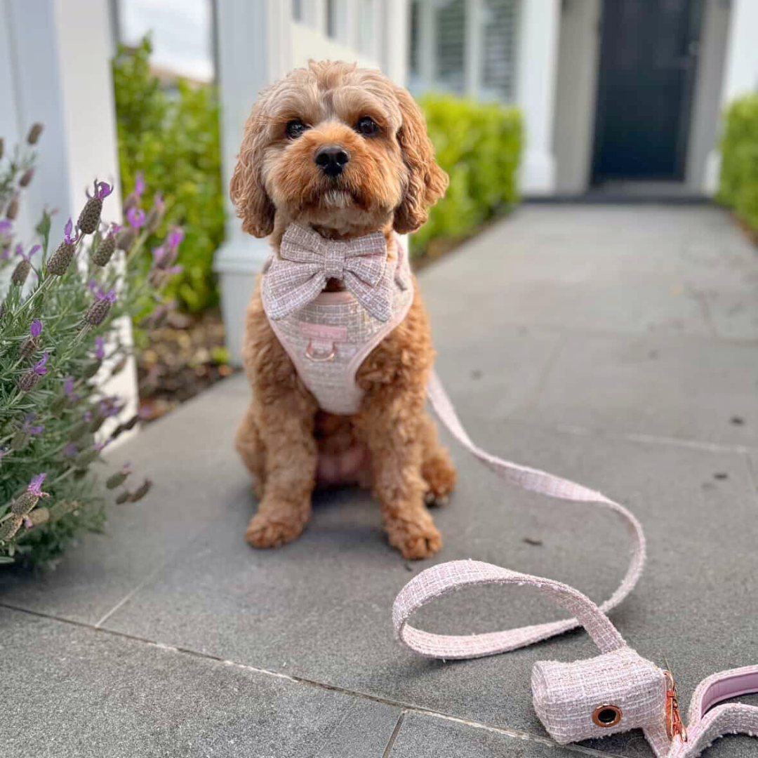 Boucle de Luxe Dog Waste Bag - Rose Blush