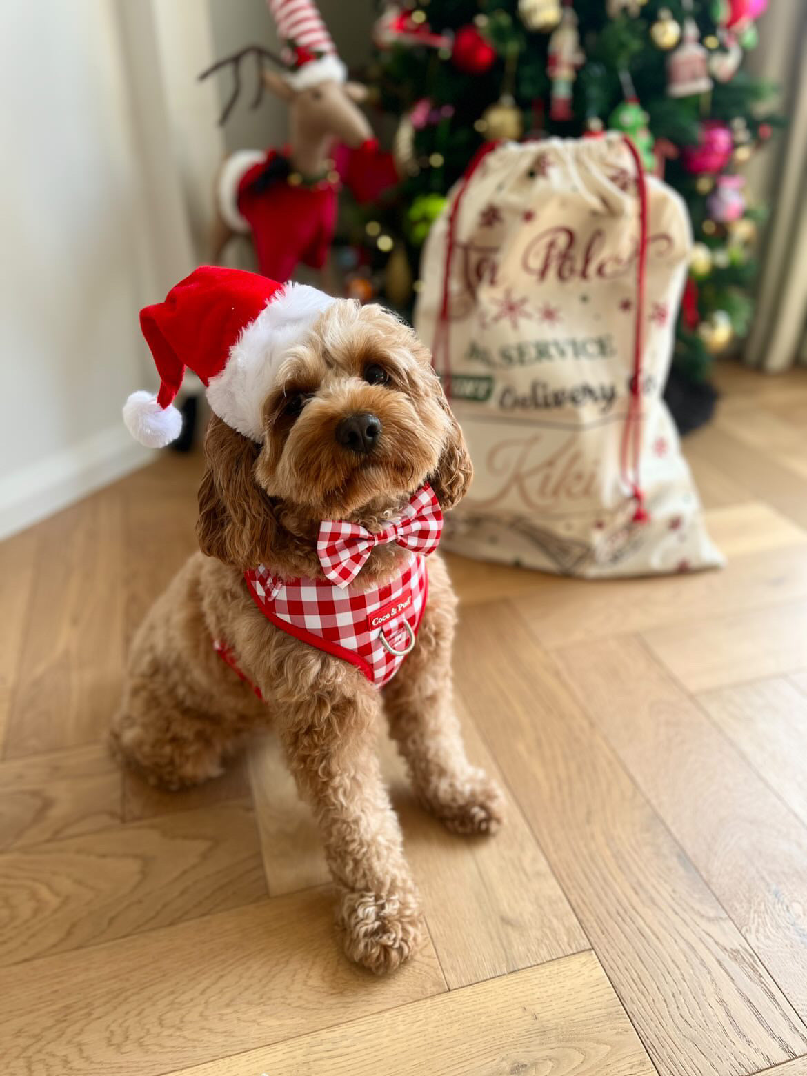 Christmas Personalised Pet Santa Sack - North Pole Mail Service