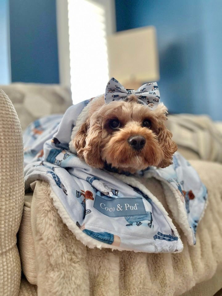 Skating Dogs Luxe Pet Blanket by Coco & Pud