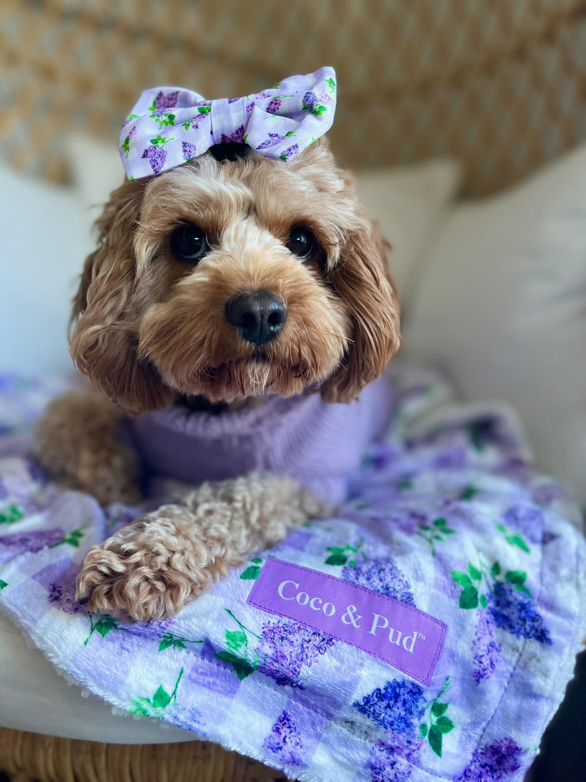 Gingham Lilac Luxe Blanket - Coco & Pud