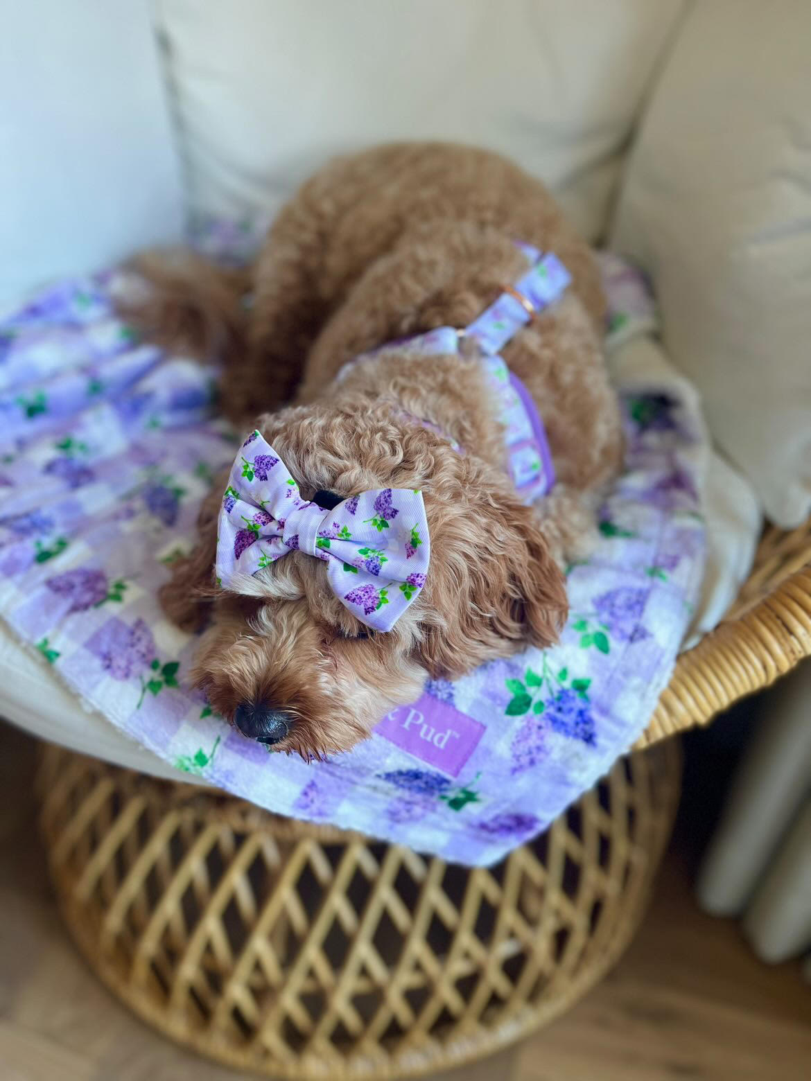 Gingham Lilac Luxe Blanket - Coco & Pud