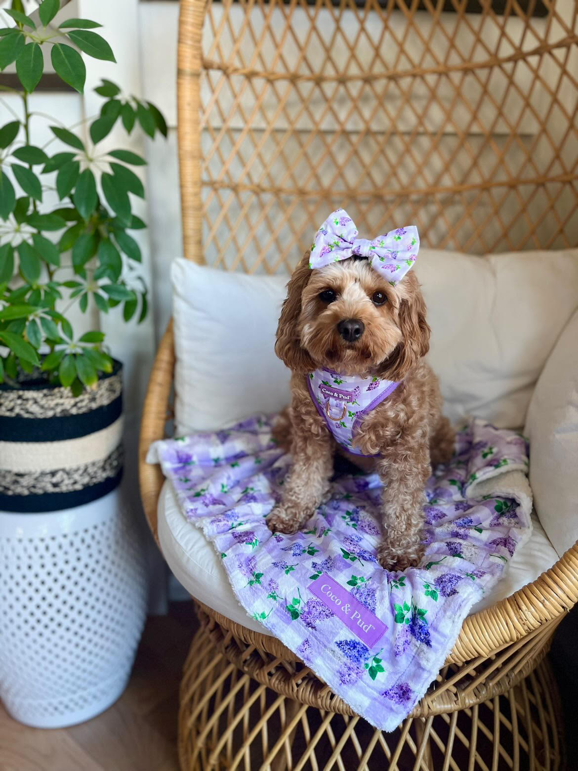 Gingham Lilac Luxe Blanket - Coco & Pud