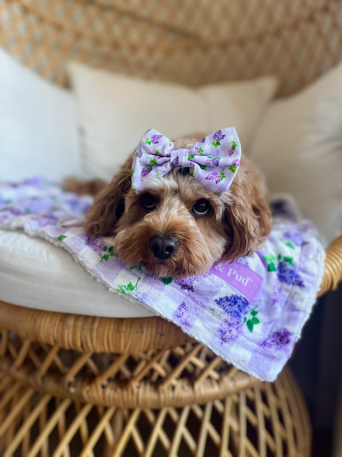 Gingham Lilac Luxe Blanket - Coco & Pud