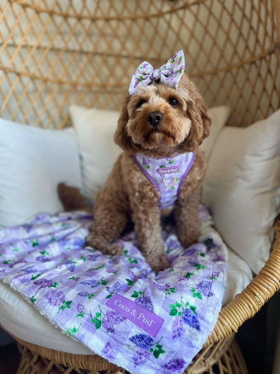 Gingham Lilac Luxe Blanket - Coco & Pud