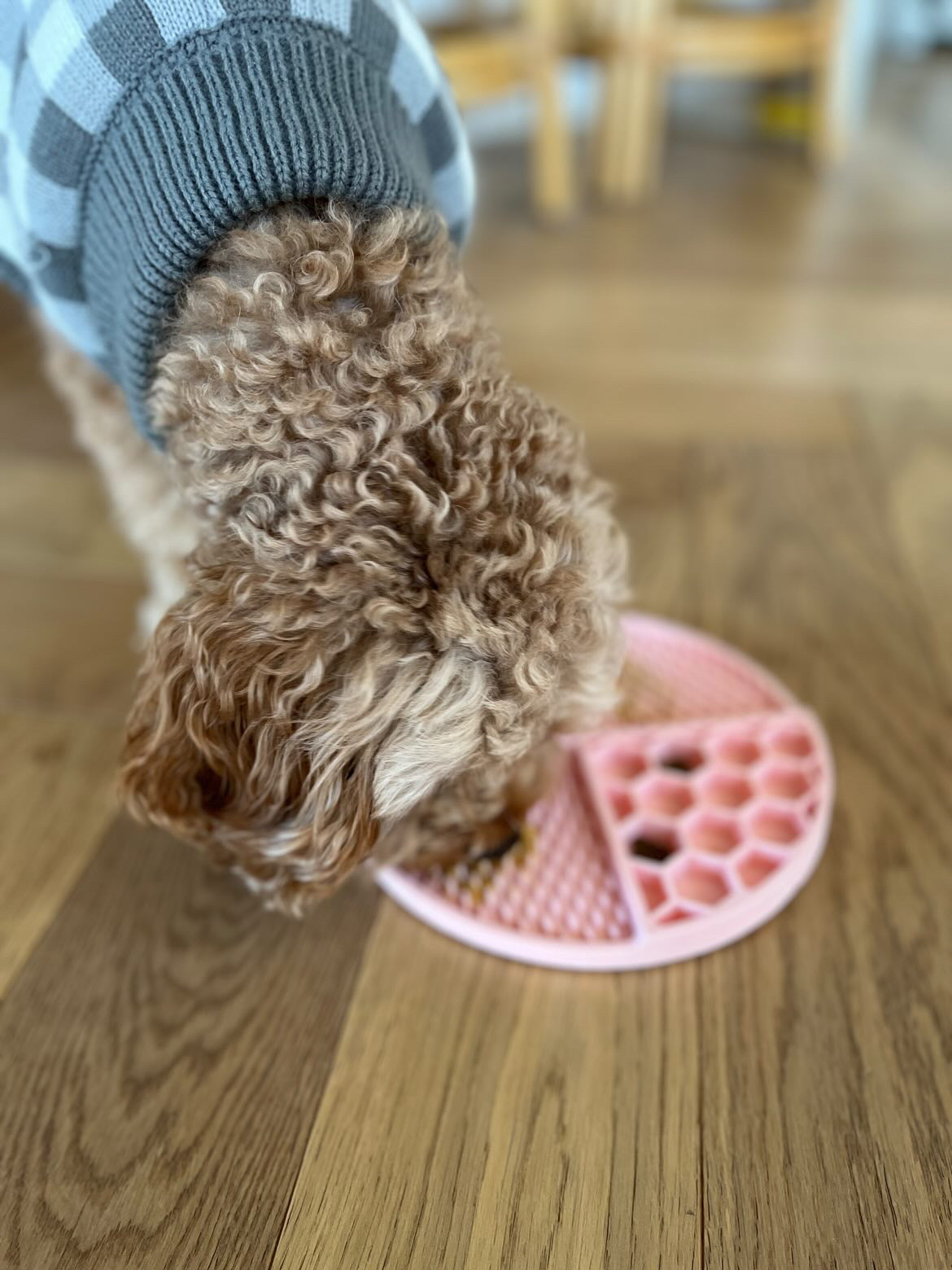 Coco & Pud Round Non-Slip Dog Lick Mat - Rose