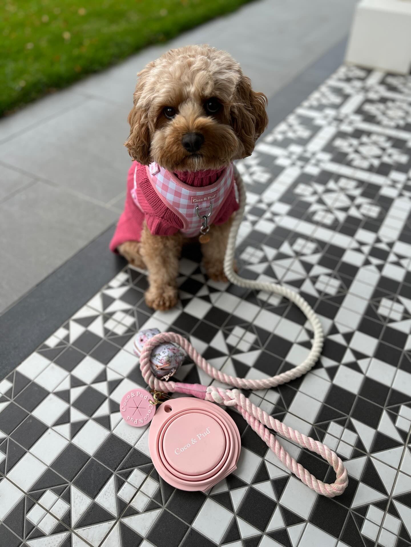 Coco & Pud Collapsible Portable Silicone Travel Double Dog Bowl - Rose