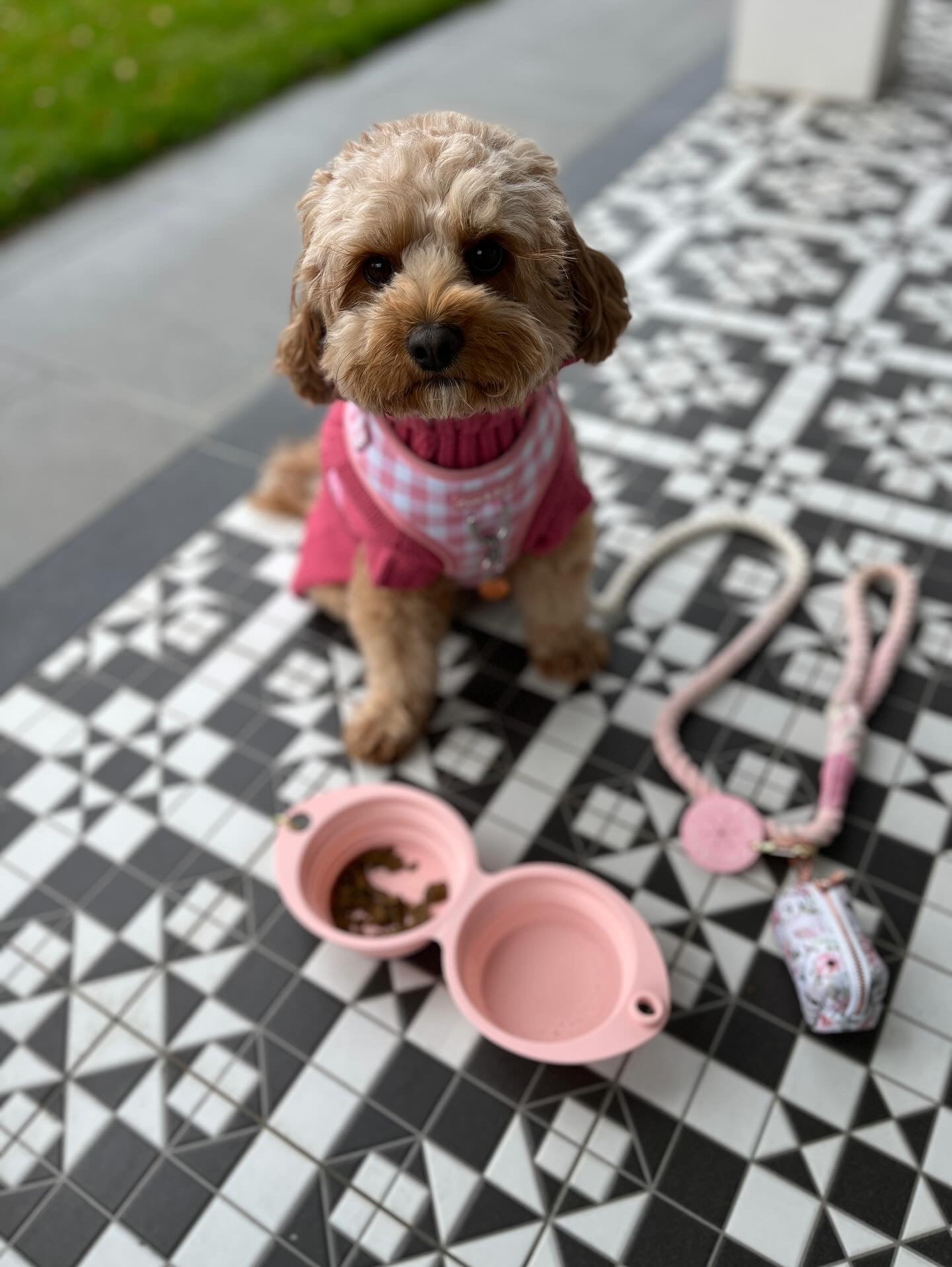 Coco & Pud Collapsible Portable Silicone Travel Double Dog Bowl - Rose