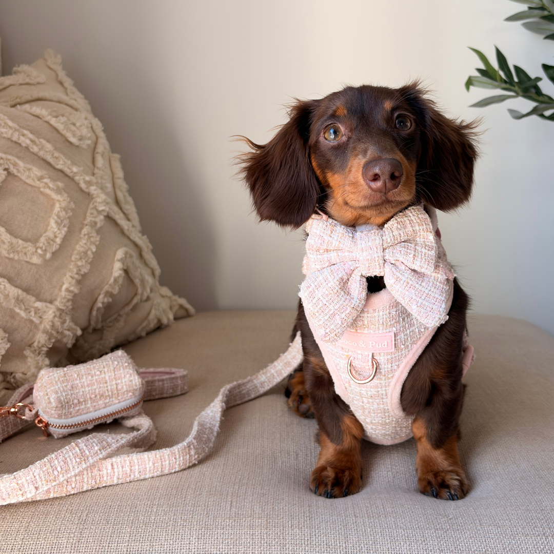 Coco & Pud Boucle de Luxe Dog Waste Bag - Rose Blush
