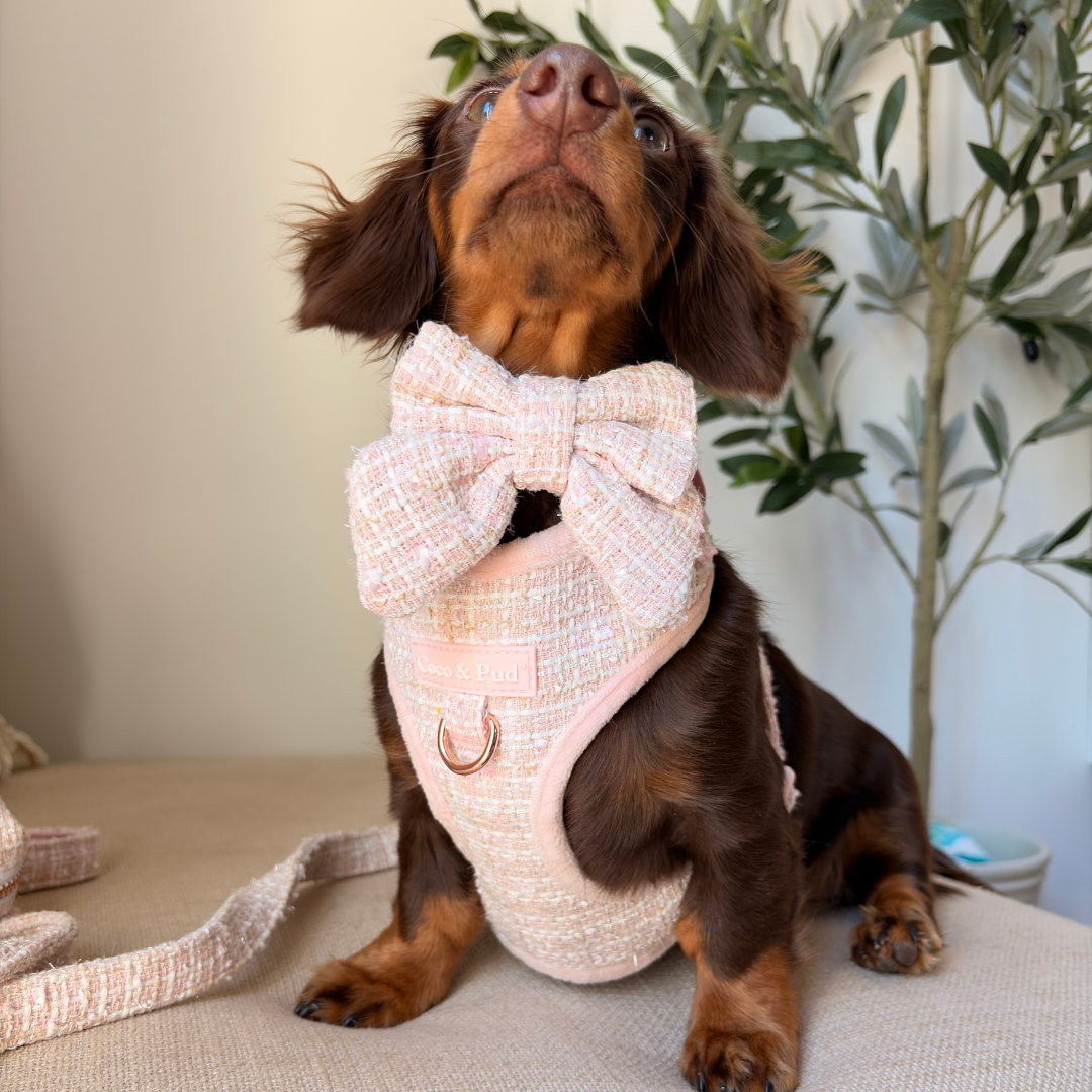 Coco & Pud Boucle de Luxe Sailor Bow Tie - Rose Blush