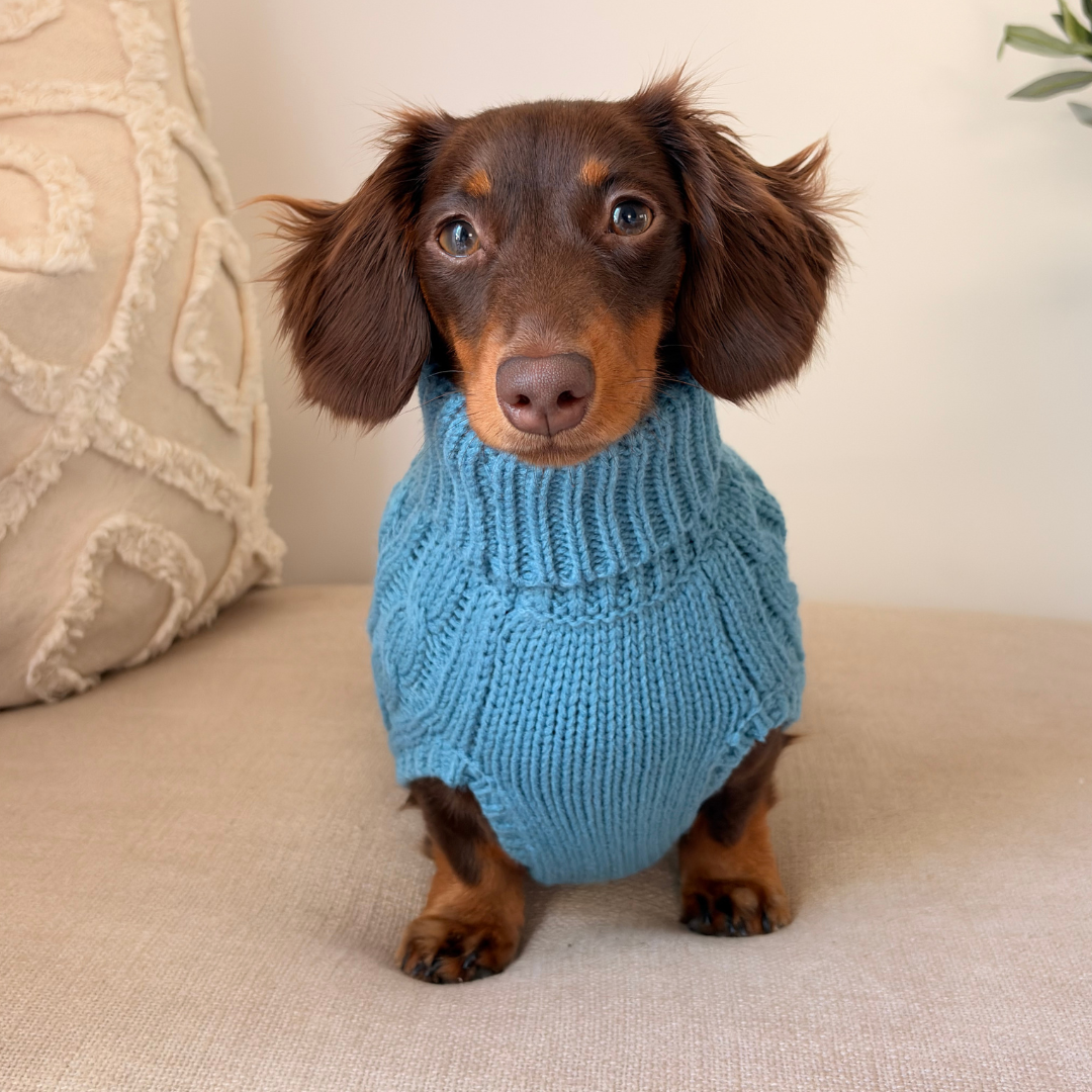NEW! Coco & Pud Dachshund Cable Dog Sweater/ Dog Jumper - Marine