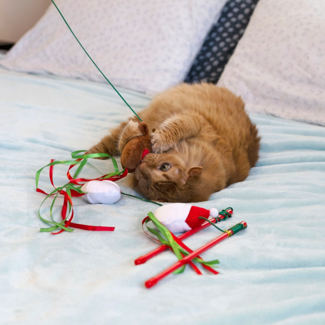 Midlee Christmas Tree, Snowman, and Reindeer Cat Wands (Set of 3)