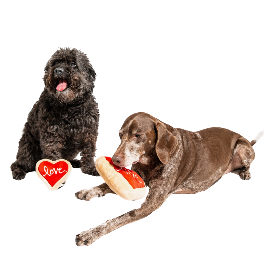 Coco & Pud Midlee Red Heart Love Sugar Cookie Valentines Day Dog Toy