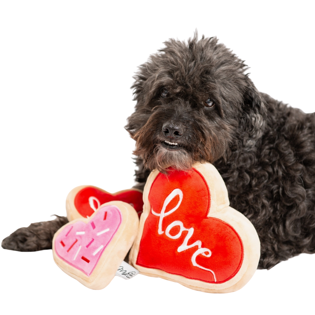 Coco & Pud Midlee Red Heart Love Sugar Cookie Valentines Day Dog Toy