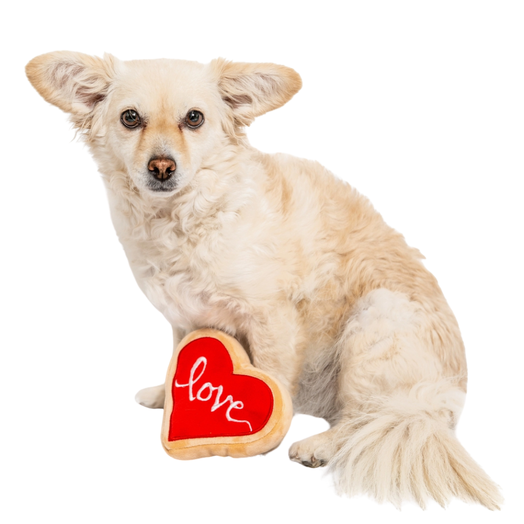 Coco & Pud Midlee Red Heart Love Sugar Cookie Valentines Day Dog Toy