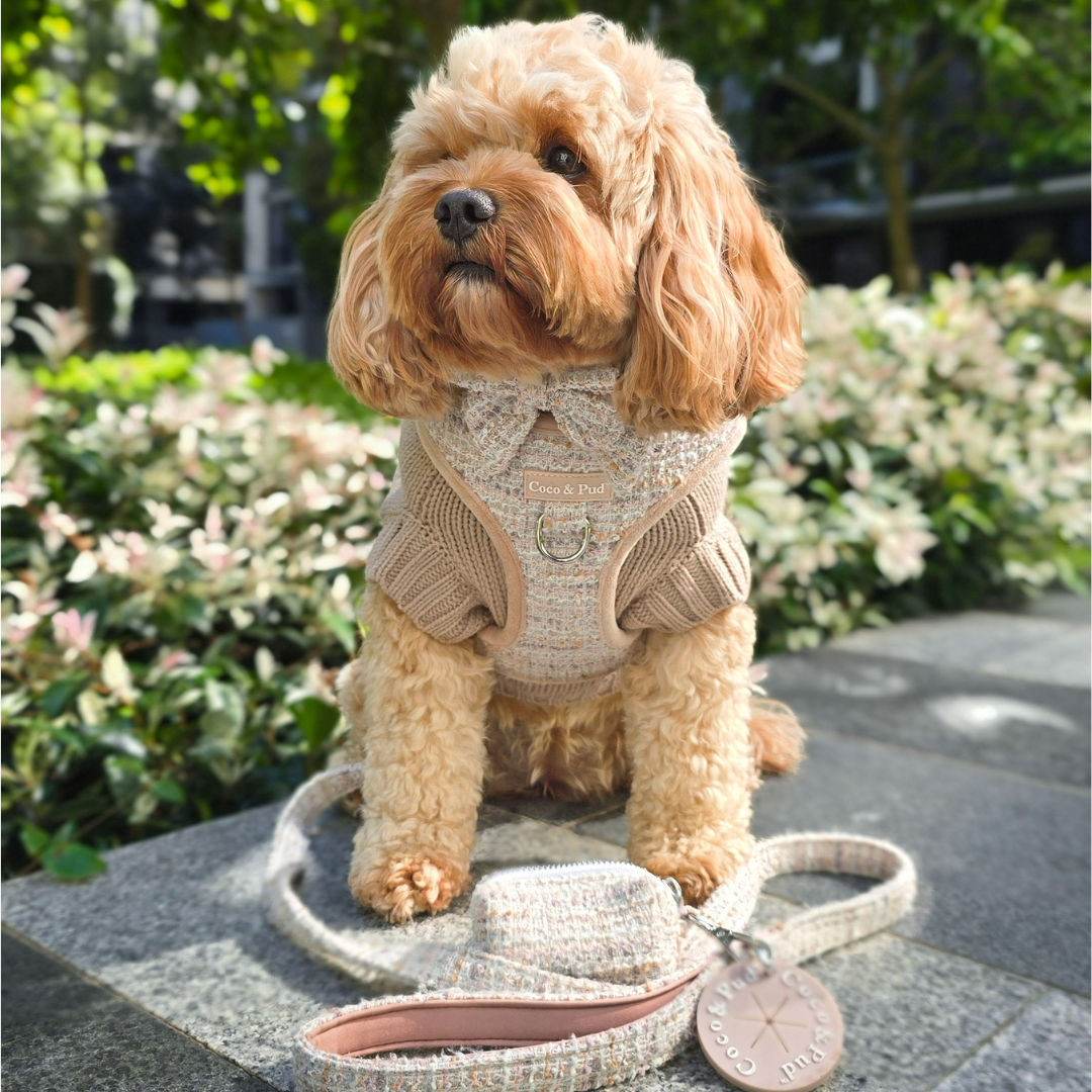 Coco & Pud Boucle de Luxe Adjustable Dog Harness - Timeless Taupe