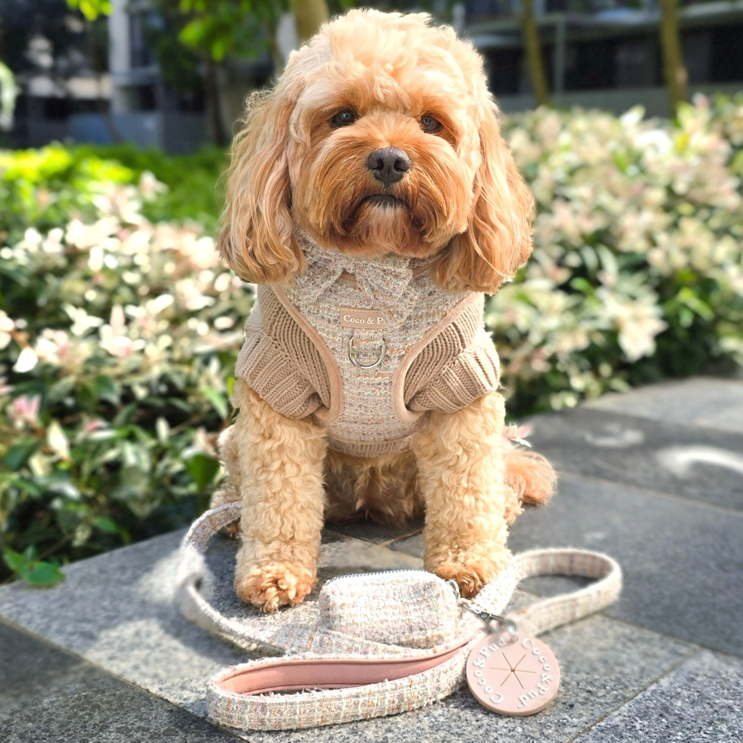 Coco & Pud Boucle de Luxe Adjustable Dog Harness - Timeless Taupe