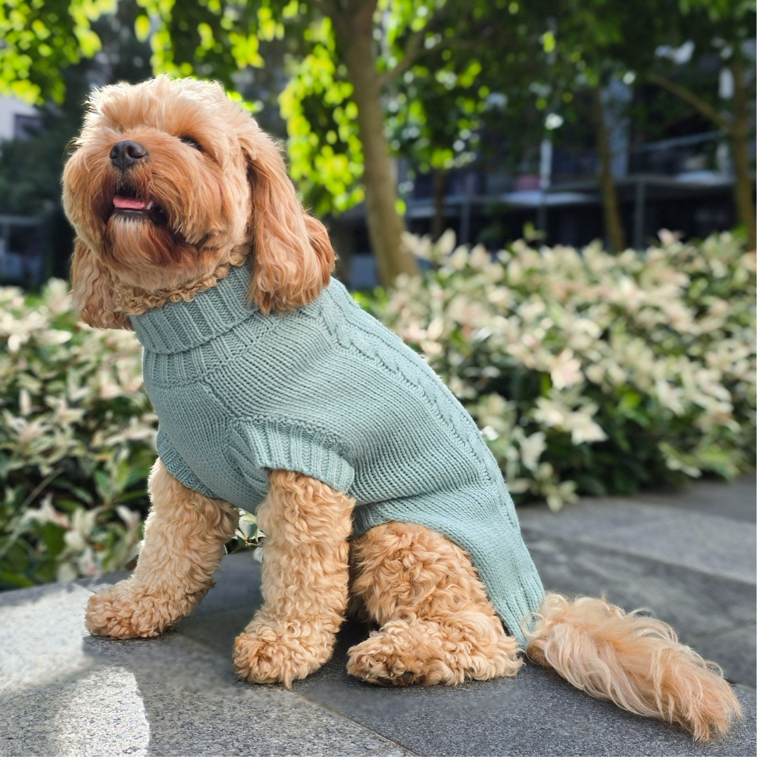 NEW! Coco Cable Dog Sweater/ Dog Jumper - Mist
