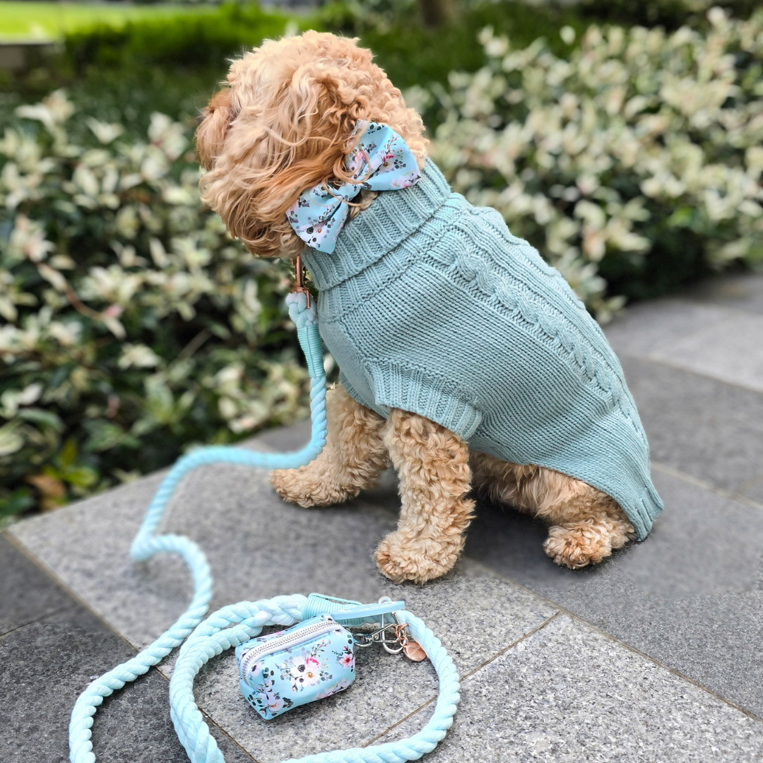Coco & Pud Azure Rope Lead/ Leash