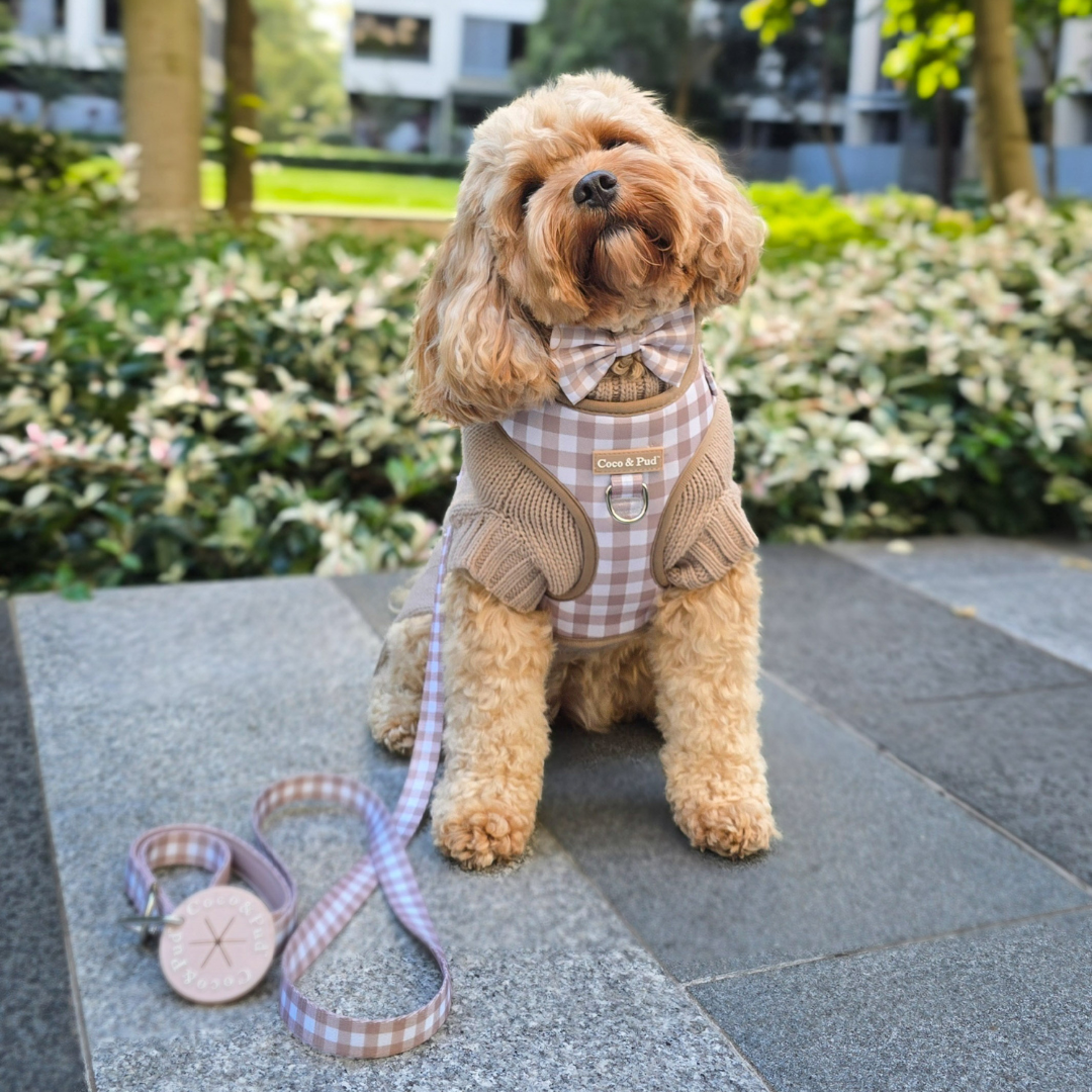 Coco & Pud Gingham Mocha Adjustable Dog Harness