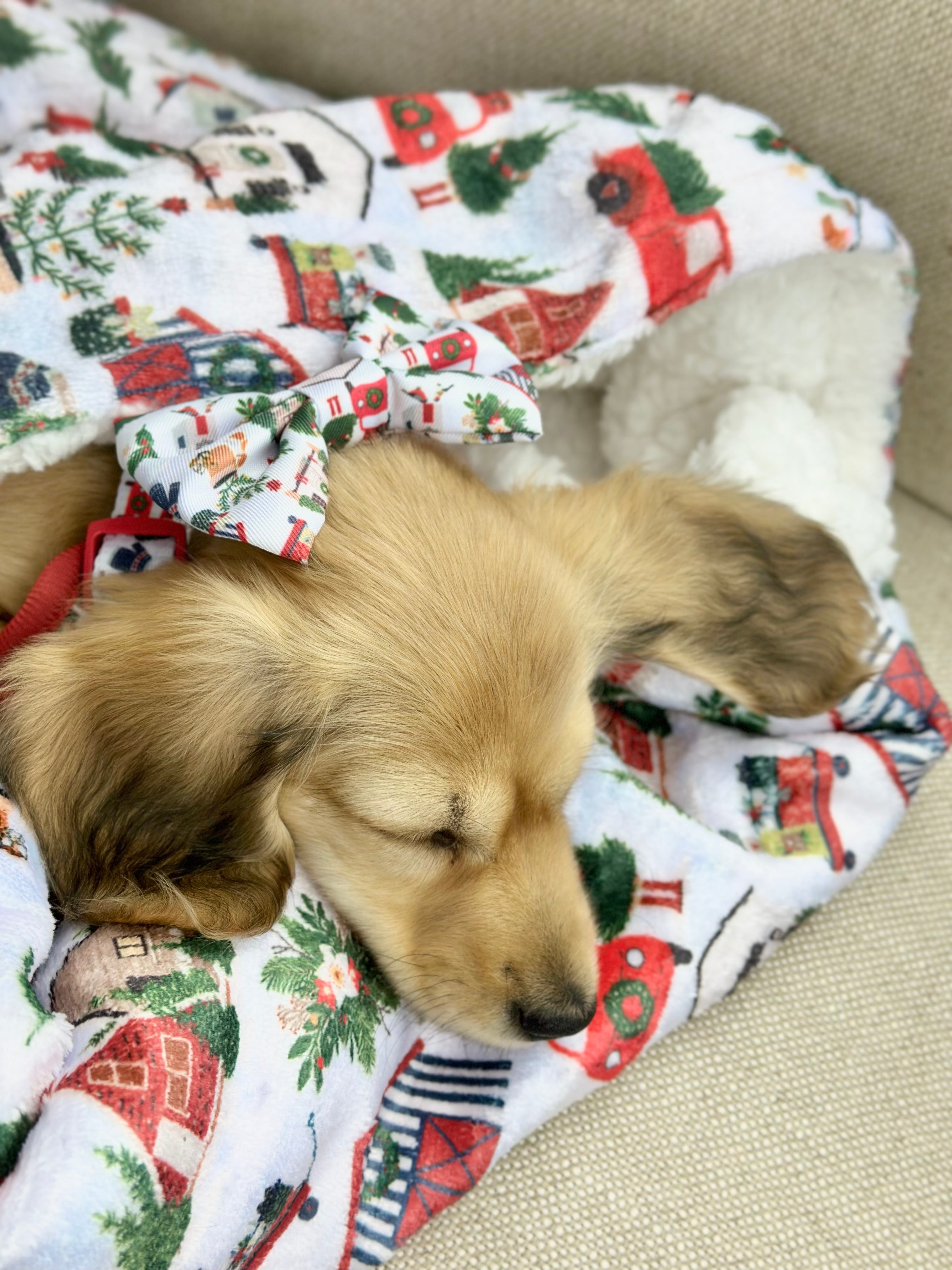 Home For Christmas Luxe Blanket
