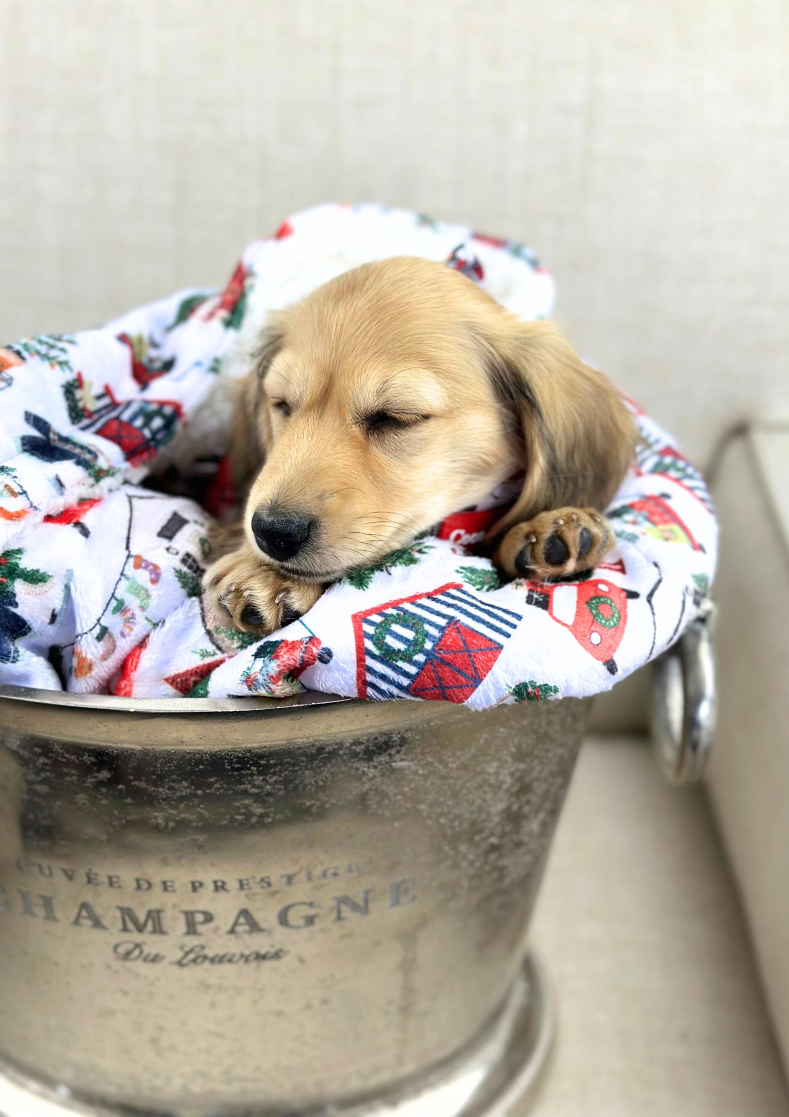 Home For Christmas Luxe Blanket