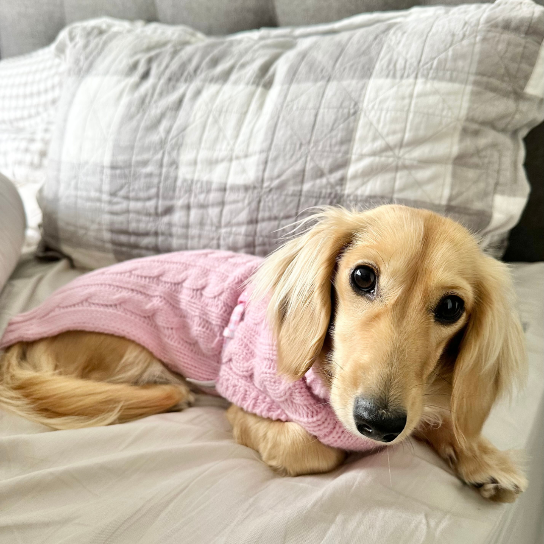 Mimi the Mini Doxie in Coco & Pud Dachshund Cable Jumper - Light Pink
