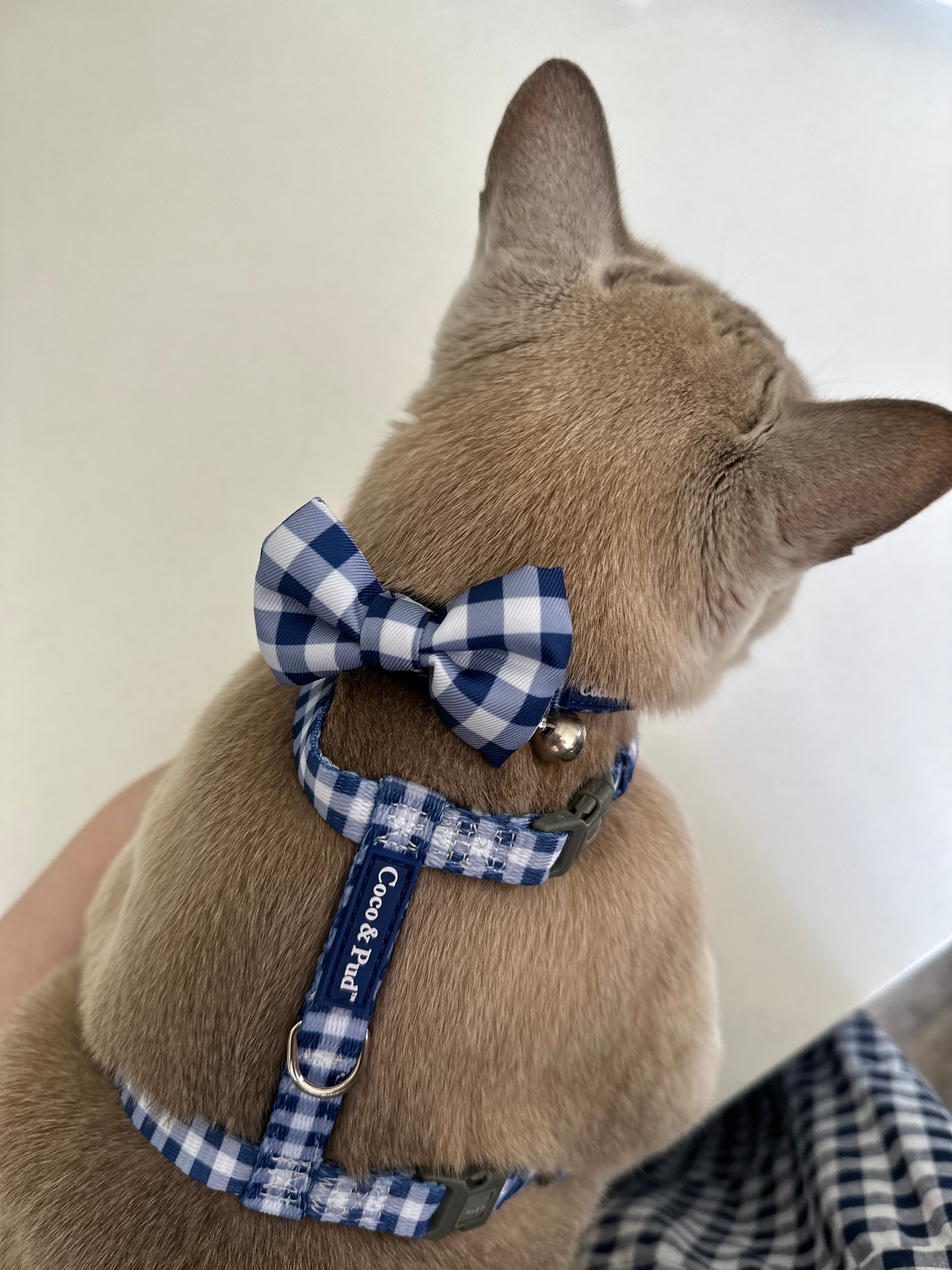 Gingham French Navy Cat Harness by Coco Pud