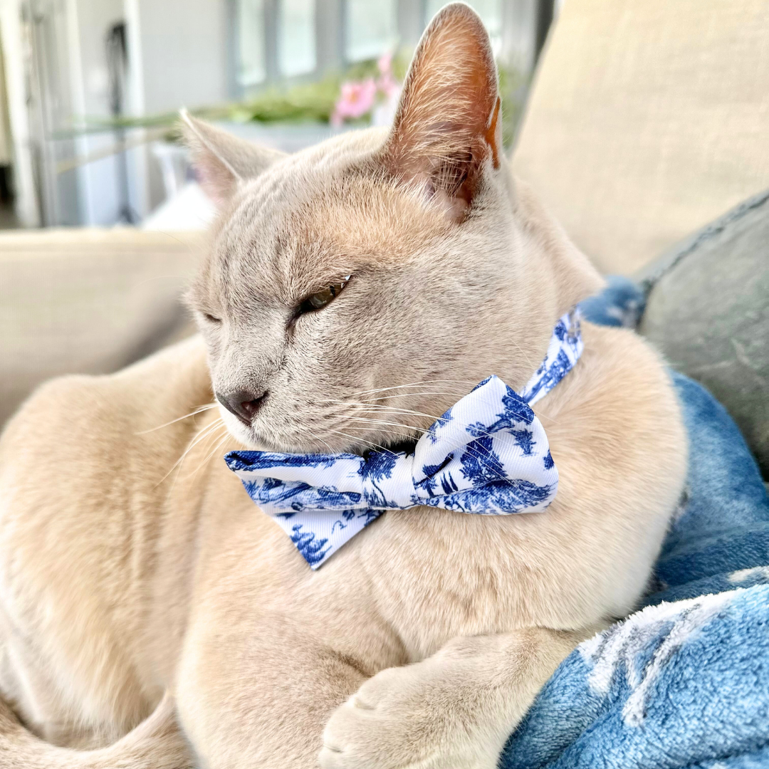 Coco & Pud Toile de Chien Cat Bowtie