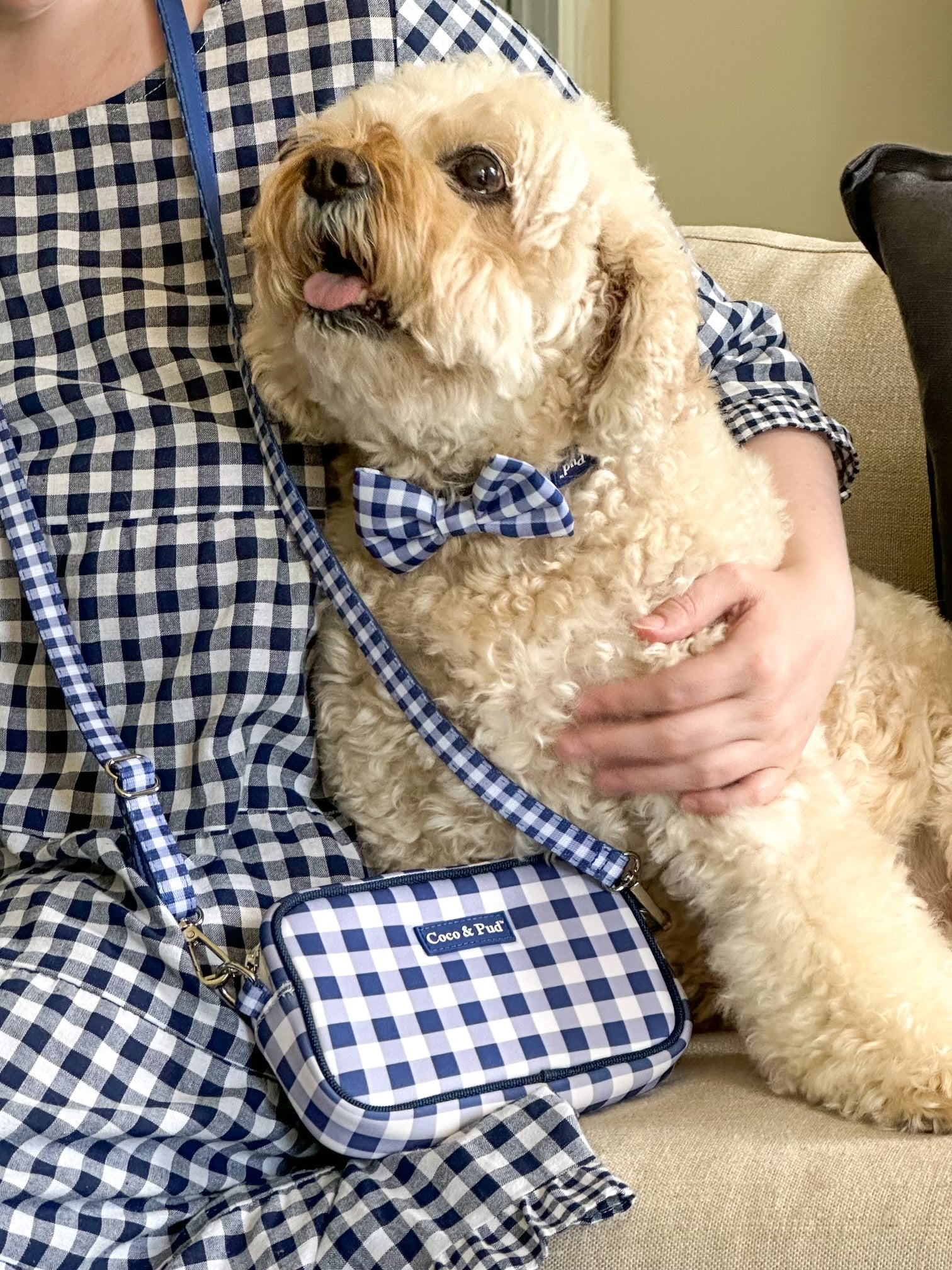 Gingham French Navy Puppy Harness by Coco & Pud