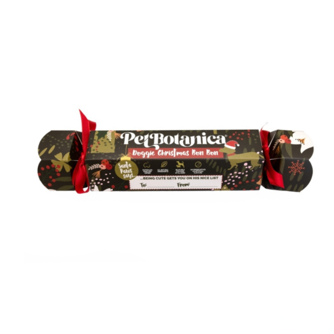 Coco and Pud Pet Botanica Doggie Christmas Bon Bon