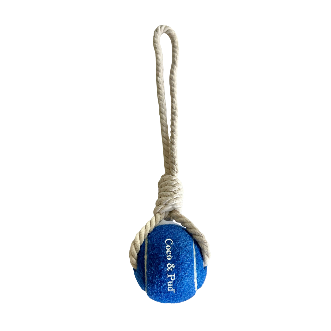 Tennis Ball & Rope Dog Toy - Blue
