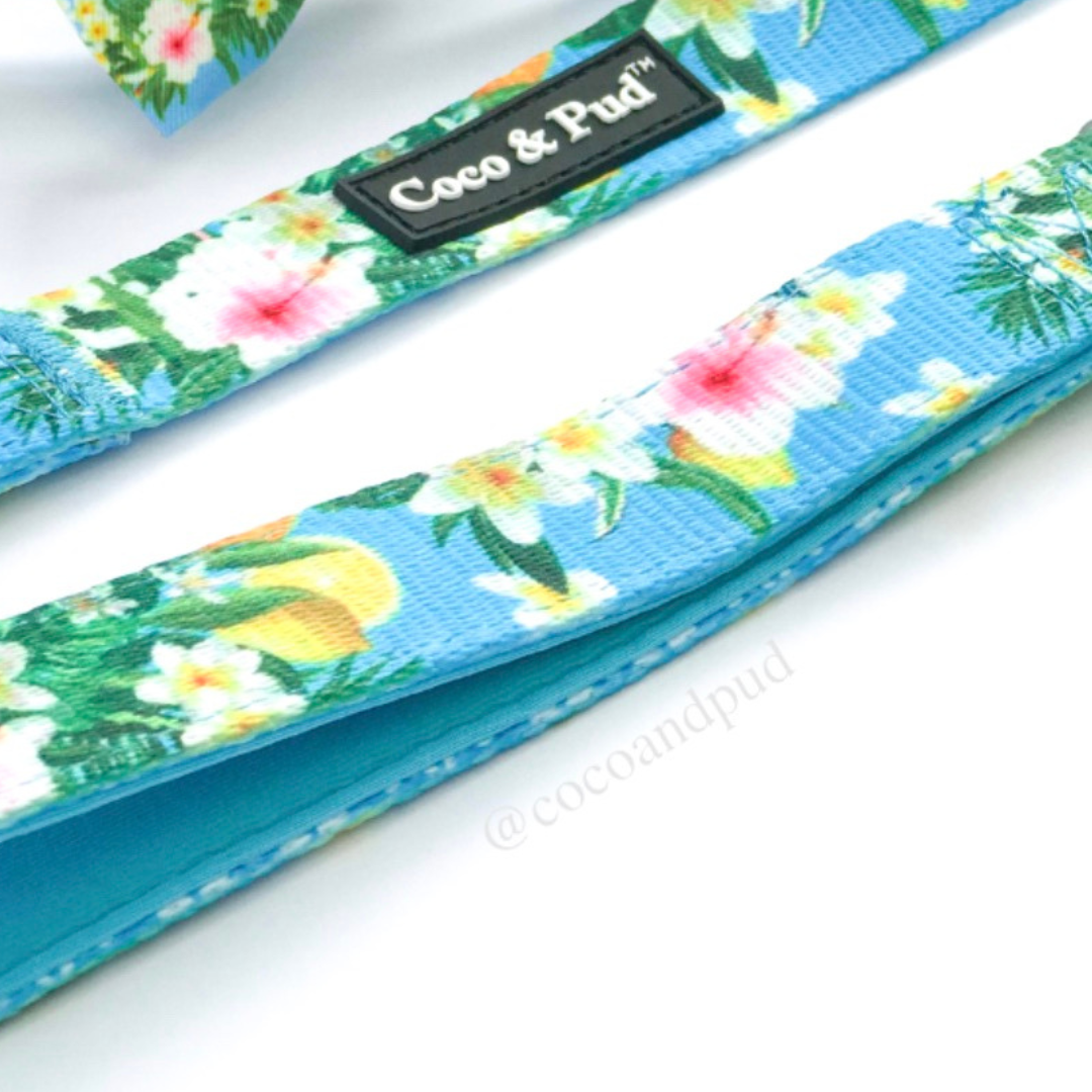 Flamingo Tropical Cat Lead