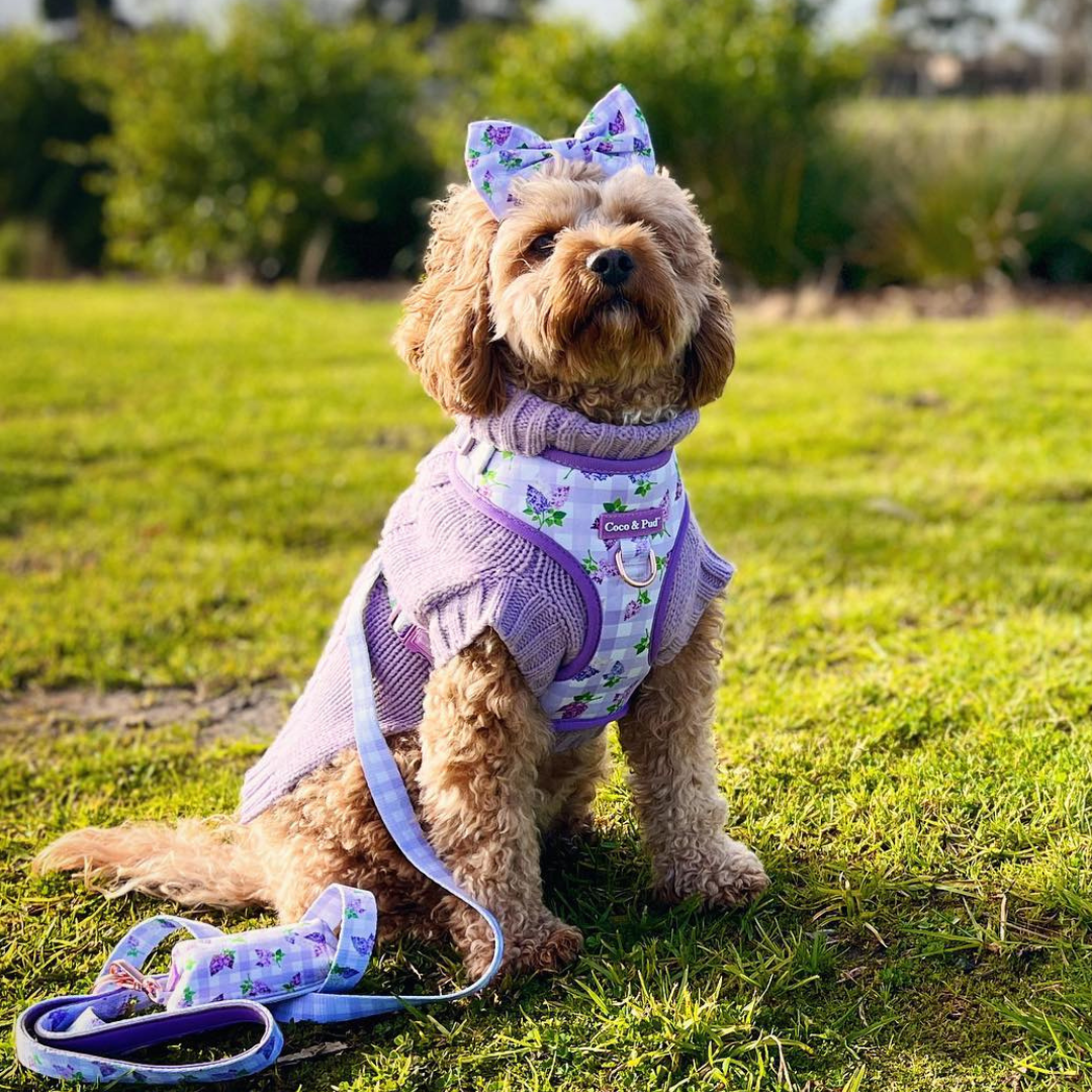 Coco & Pud Gingham Lilac Adjustable Dog Harness