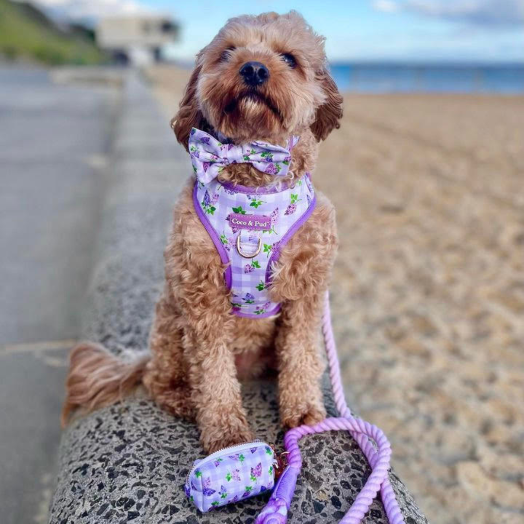 Coco & Pud Gingham Lilac Adjustable Dog Harness