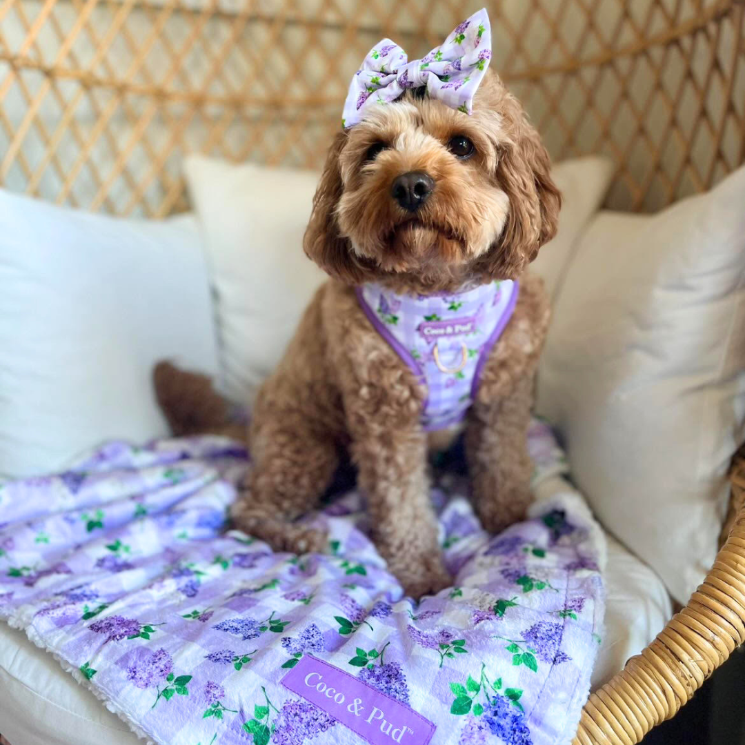 Coco & Pud Gingham Lilac Adjustable Dog Harness