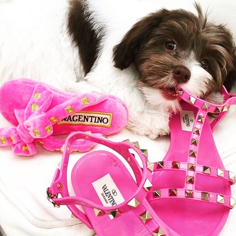 Coco & Pud Wagentino Sandal Dog Toy with cute puppy - Haute Diggity Dog